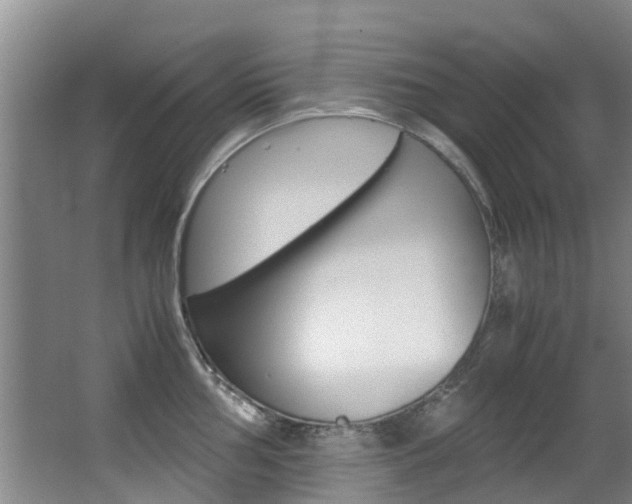 X0000062901002200601131038