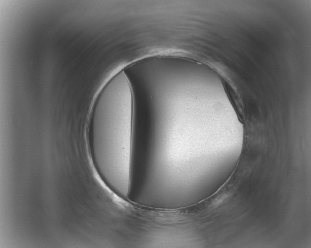 X0000062901007200601131038