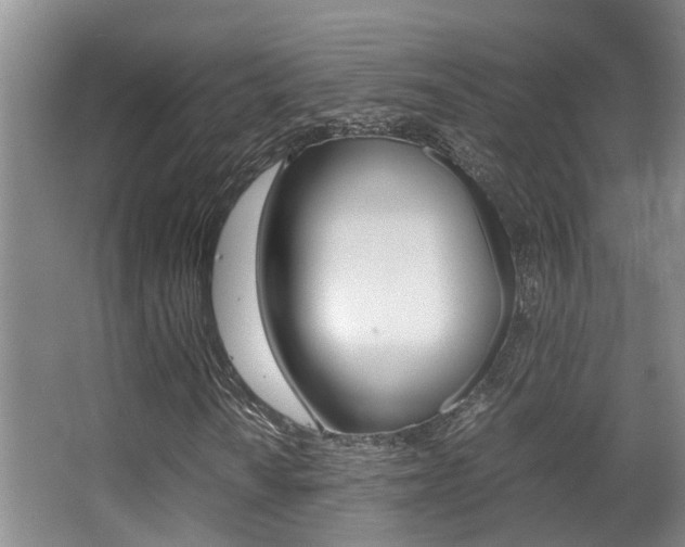 X0000062901010200601131038