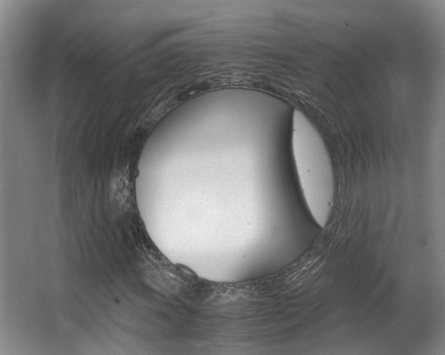 X0000062901011200601131038