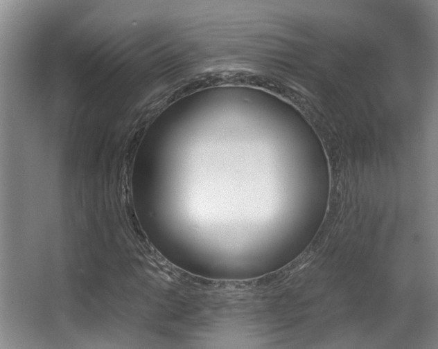 X0000062901014200601131038