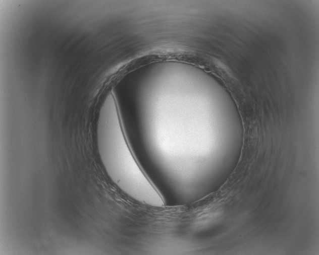 X0000062901016200601131038