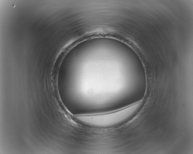 X0000062901018200601131038