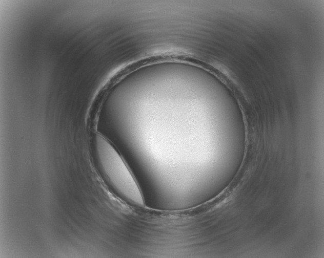 X0000062901022200601131038