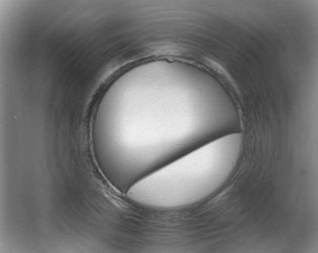 X0000062901027200601131038