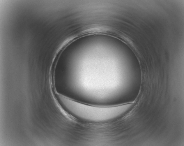 X0000062901034200601131038