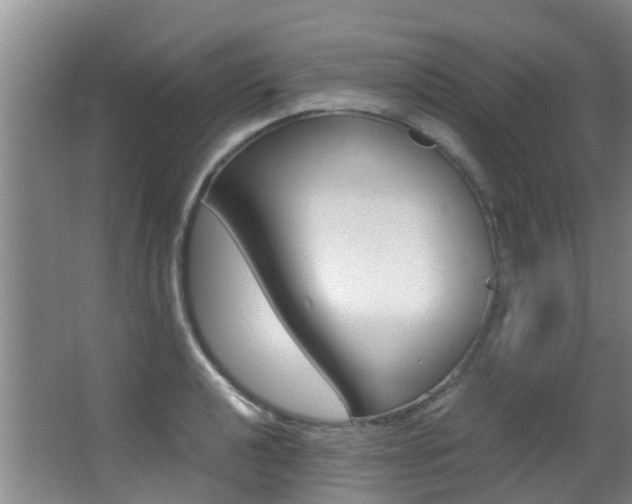 X0000062901040200601131038