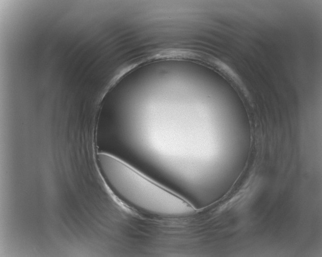 X0000062901041200601131038