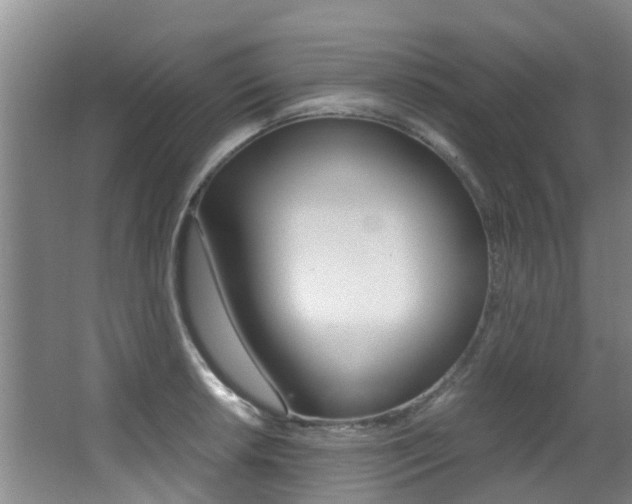 X0000062901042200601131038