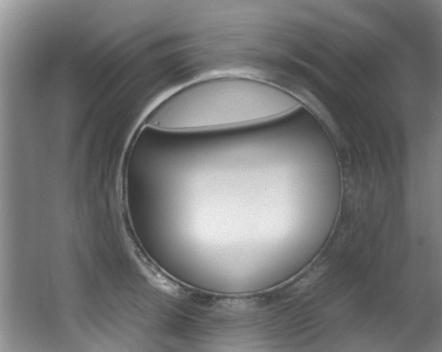 X0000062901044200601131038