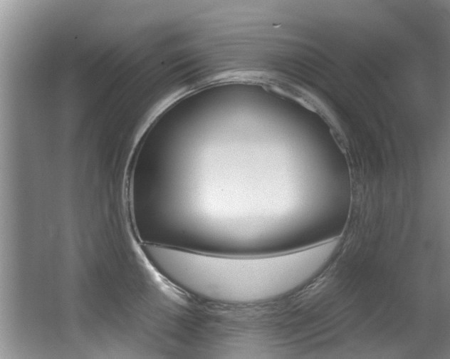 X0000062901050200601131038
