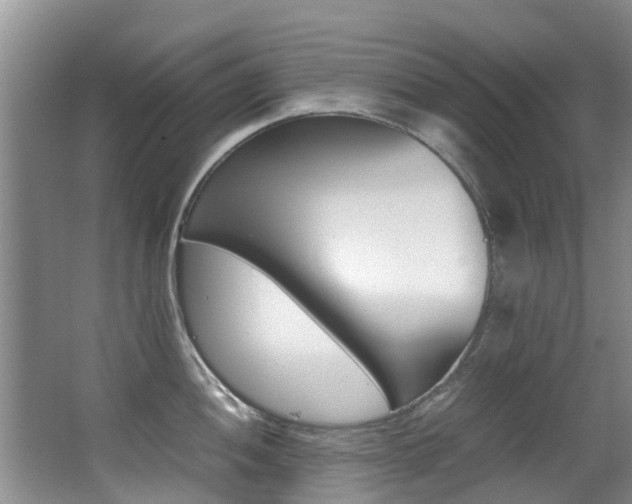 X0000062901052200601131038