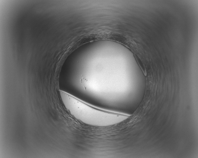 X0000062901057200601131037