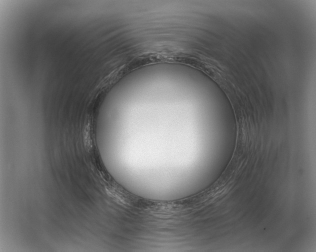 X0000062901060200601131037