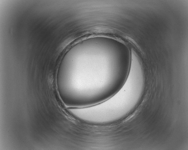 X0000062901065200601131037