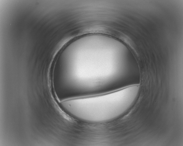 X0000062901082200601131037