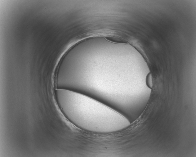 X0000062901099200601131037