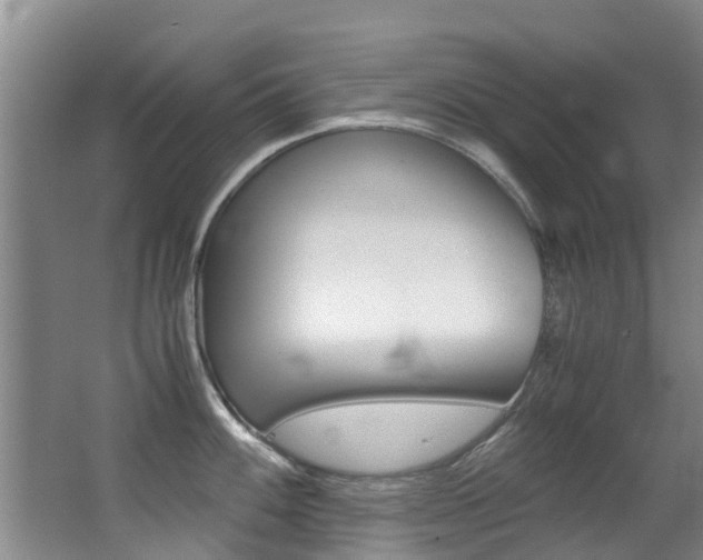 X0000062901100200601131037