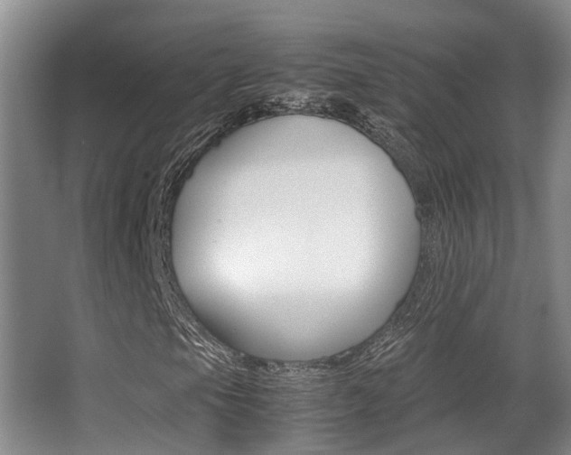 X0000062901105200601131036