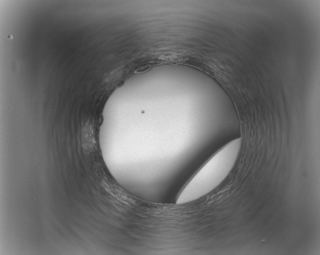 X0000062901106200601131036