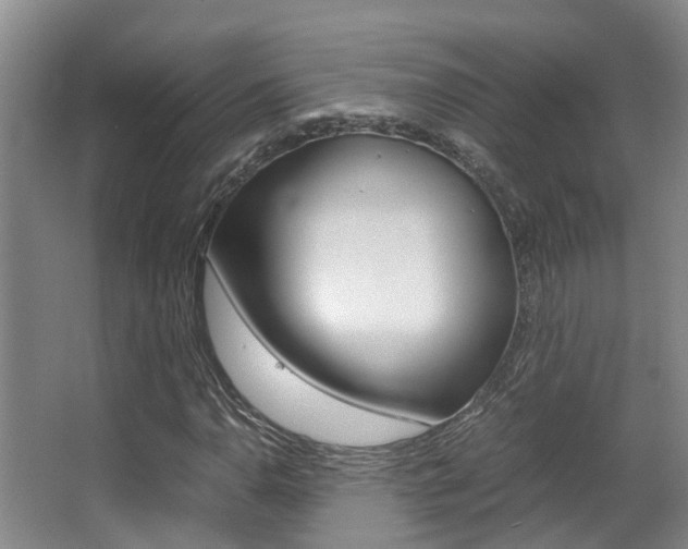 X0000062901110200601131036