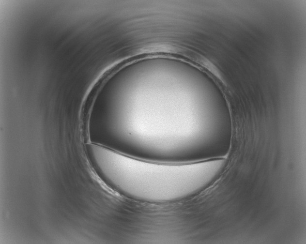 X0000062901116200601131036