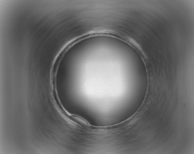 X0000062901124200601131036