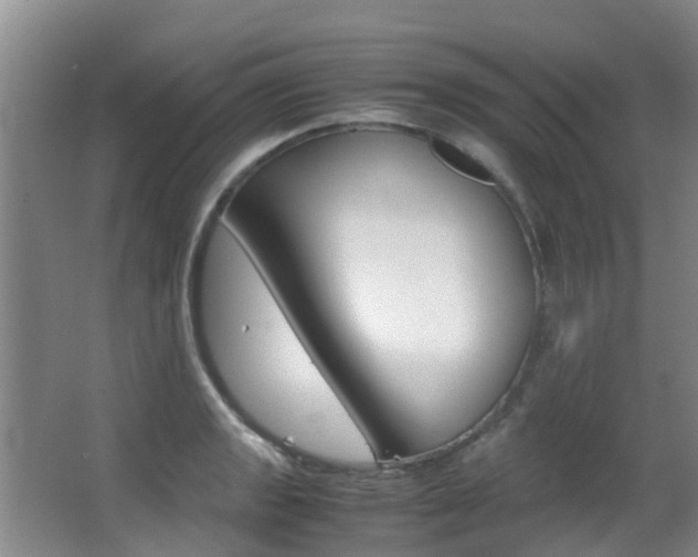 X0000062901133200601131036