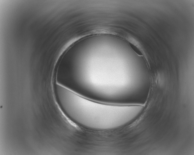 X0000062901141200601131036