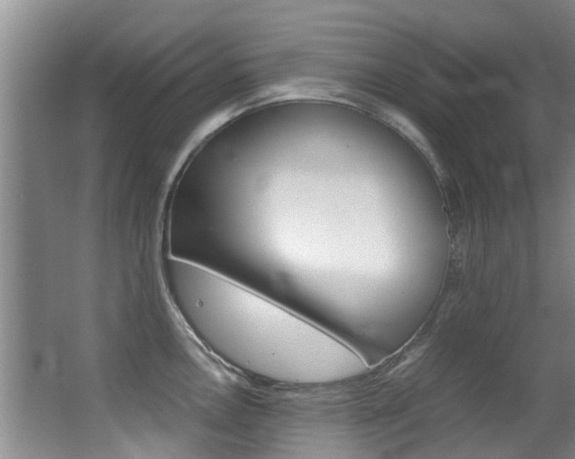 X0000062901146200601131037