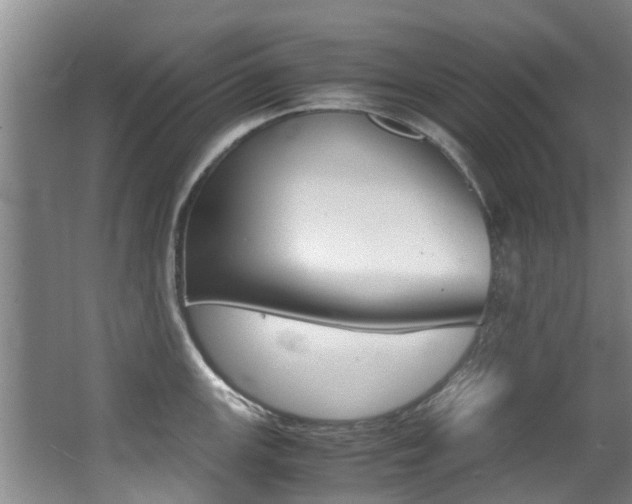 X0000062901147200601131037