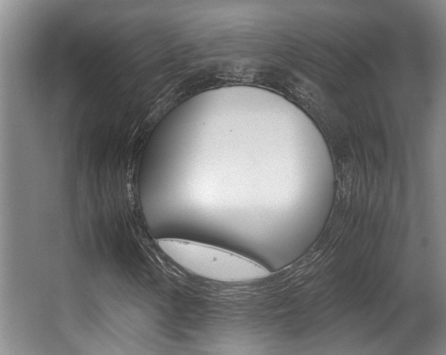 X0000062901154200601131036