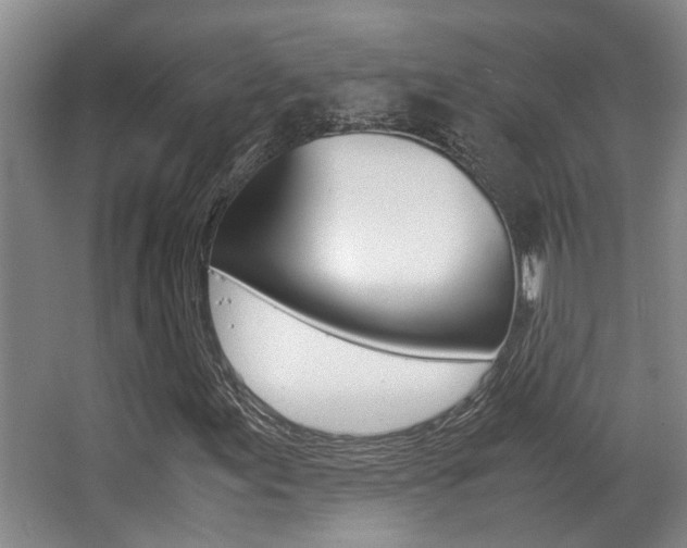X0000062901155200601131036