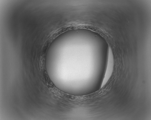 X0000062901157200601131036