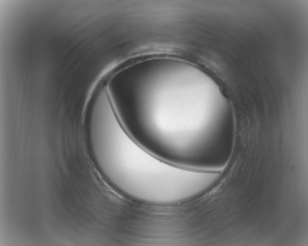 X0000062901172200601131035