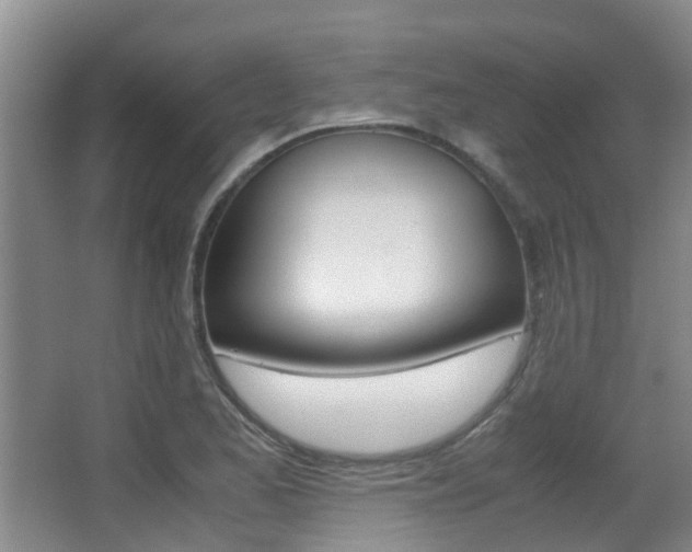 X0000062901173200601131035