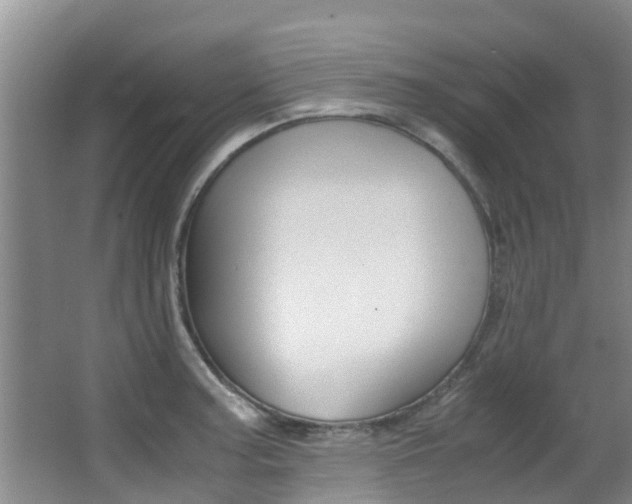 X0000062901187200601131035