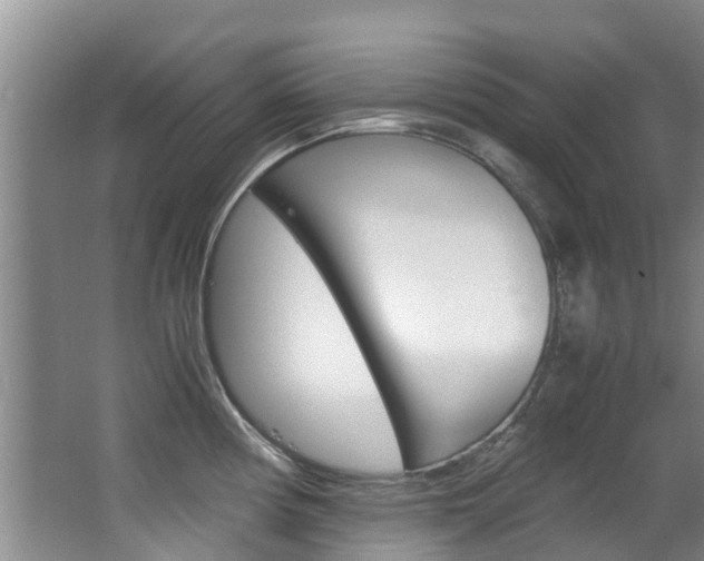 X0000062901194200601131035
