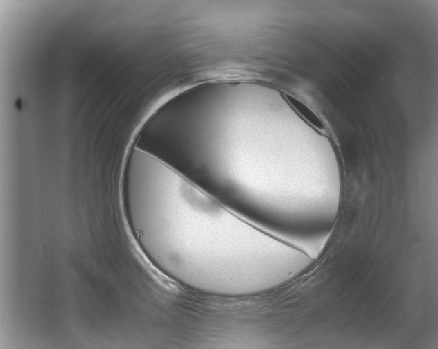 X0000062901195200601131035