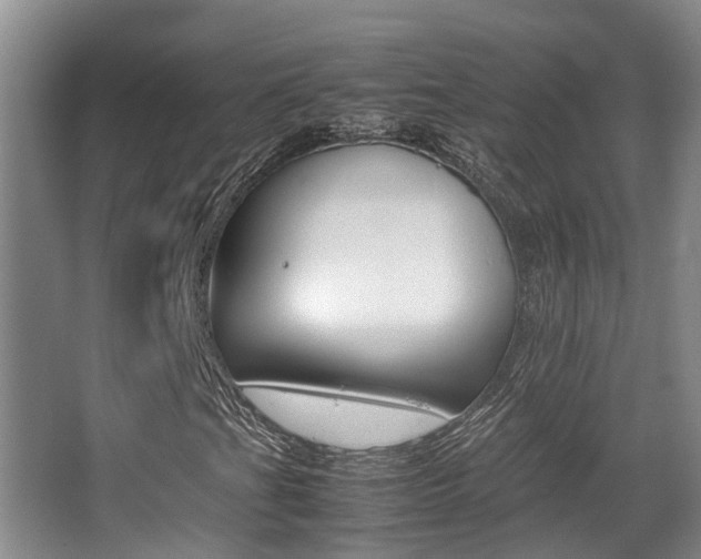 X0000062901201200601131034