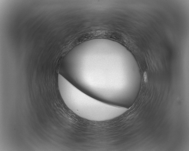 X0000062901203200601131034