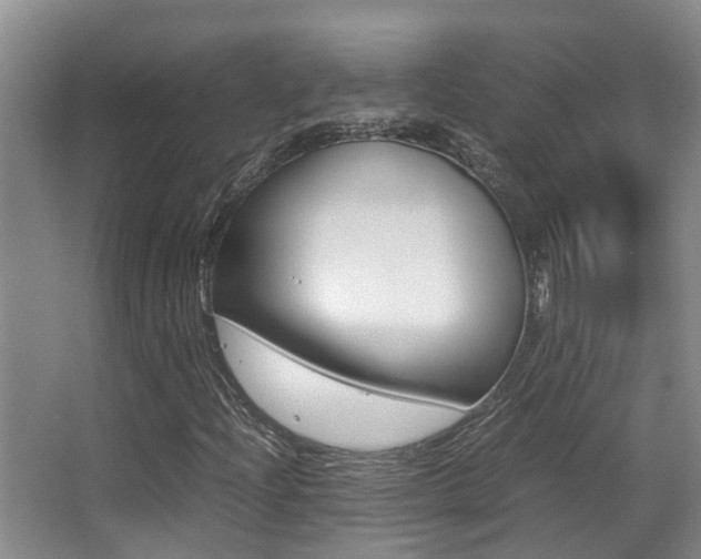 X0000062901204200601131034