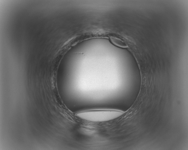 X0000062901205200601131034