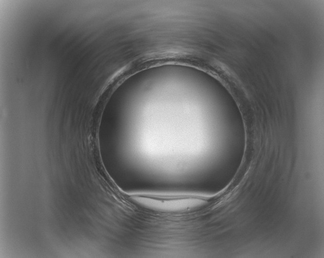 X0000062901210200601131034