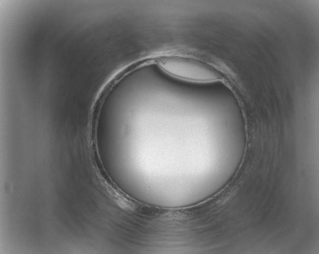 X0000062901216200601131034