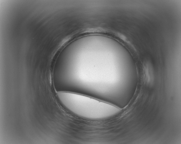 X0000062901221200601131035