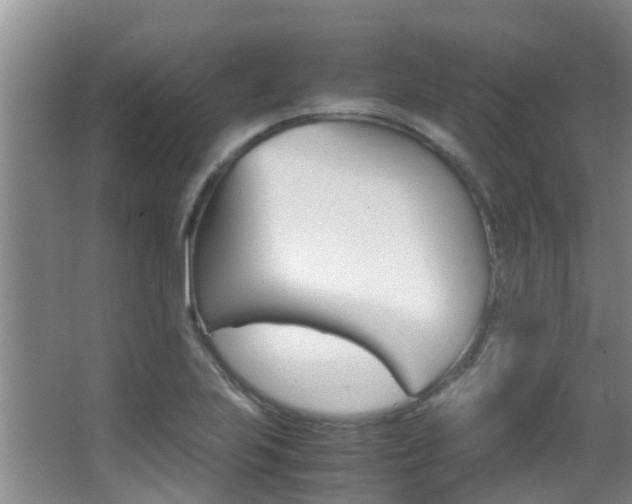 X0000062901223200601131035