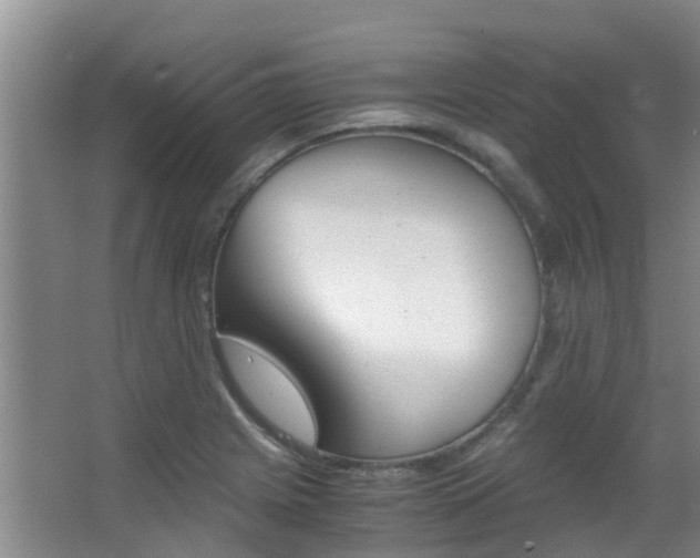 X0000062901225200601131035
