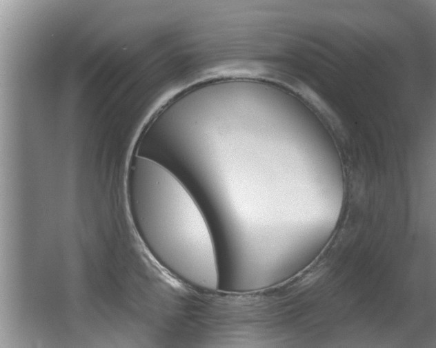 X0000062901240200601131035