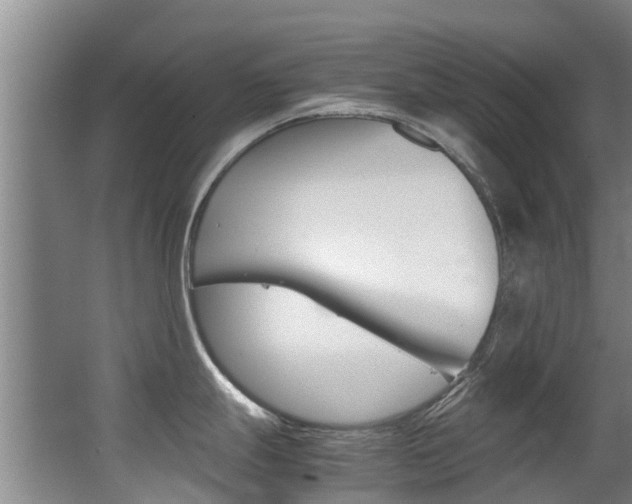X0000062901247200601131035